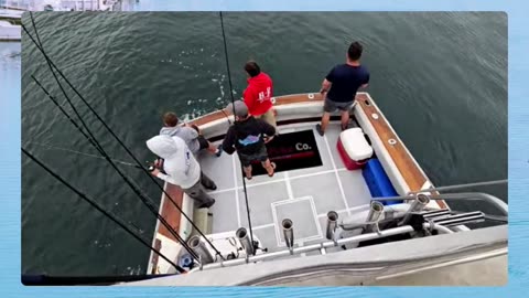 Gear up this Summer with Promar & Ahi USA! #774