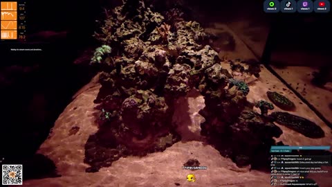 24/7 Real Live Reef Stream