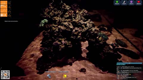 24/7 Real Live Reef Stream