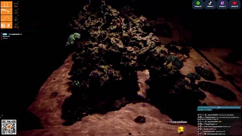 24/7 Real Live Reef Stream