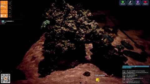 24/7 Real Live Reef Stream