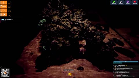 24/7 Real Live Reef Stream