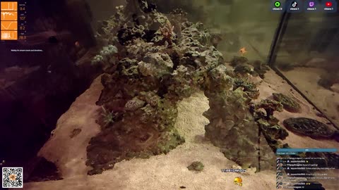 24/7 Real Live Reef Stream