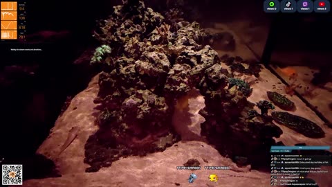 24/7 Real Live Reef Stream