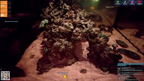 24/7 Real Live Reef Stream