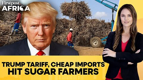 South Africa: "Double Whammy" of Trump Tariff, Cheap Imports Hit Sugar Farmers|Firstpost Africa|N18G