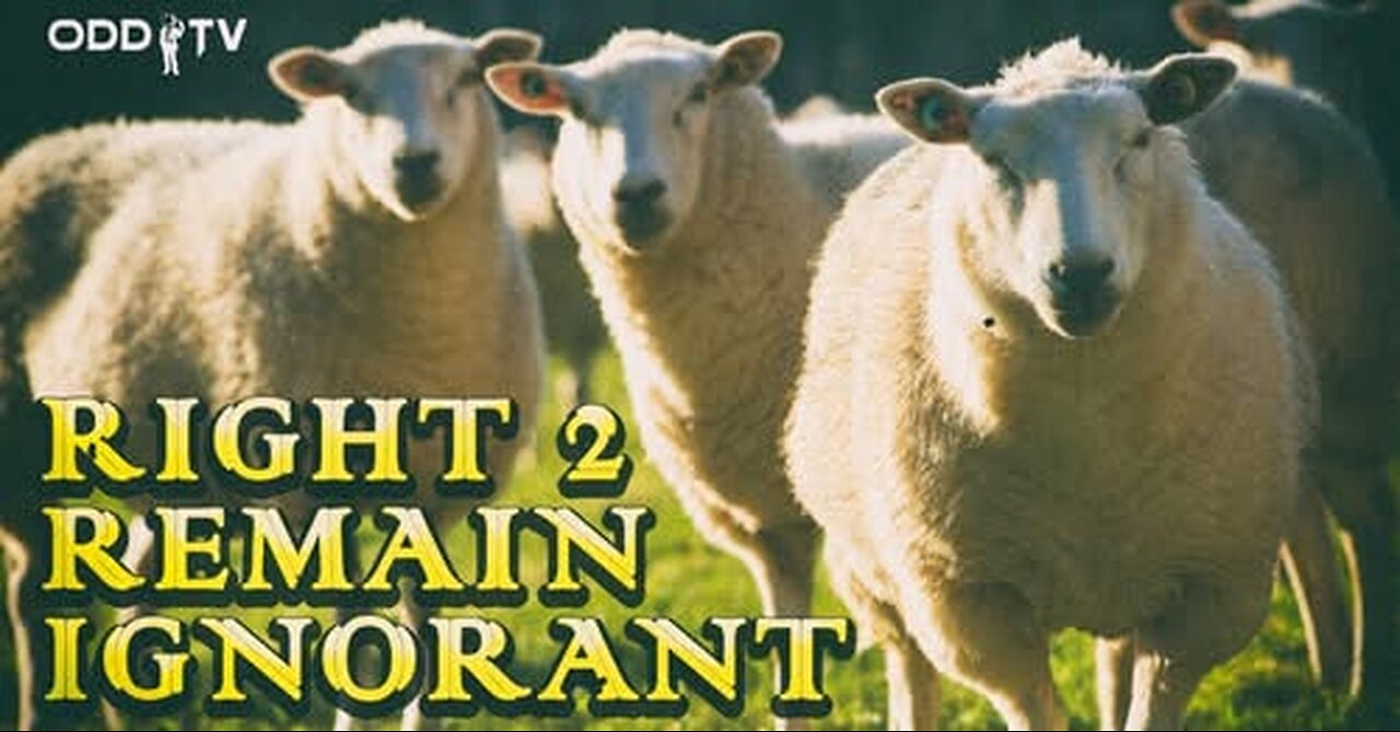 O.D.D TV | Right 2 Remain Ignorant (feat. Steve Grant)