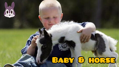 Baby meeting horse 🐎