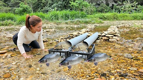 Girl used PVC pipe as a fish trap in a big stream