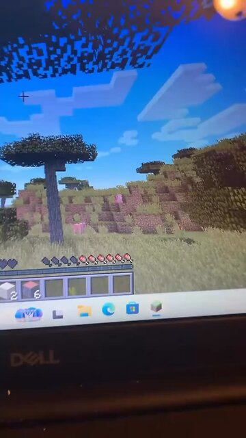 Playingminecraft