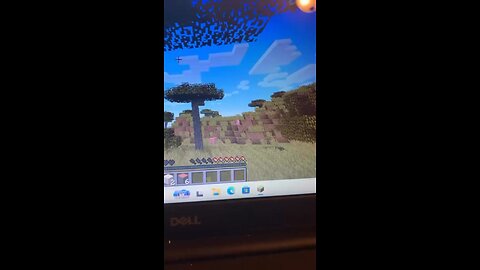 Playingminecraft