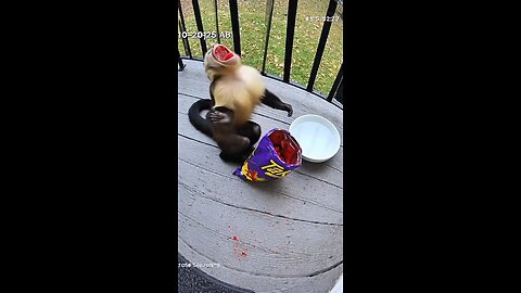 Funny Halloween Moments