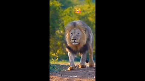 #foryoupage#viralvideo