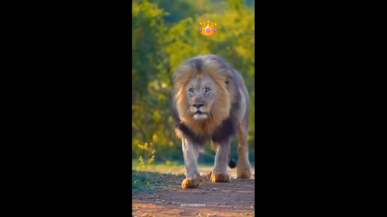 #foryoupage#viralvideo