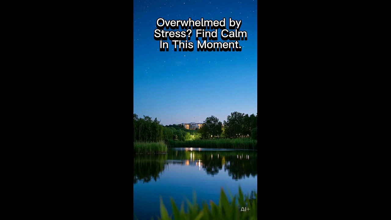 Overwhelmed by Stress? Find Calm In This Moment.