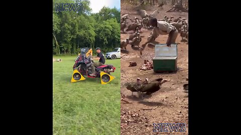 One person's car tire looks unusual. Another person is feeding a vulture.