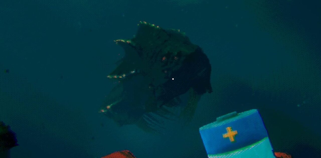 That's A Huge Witch! - Murky Divers