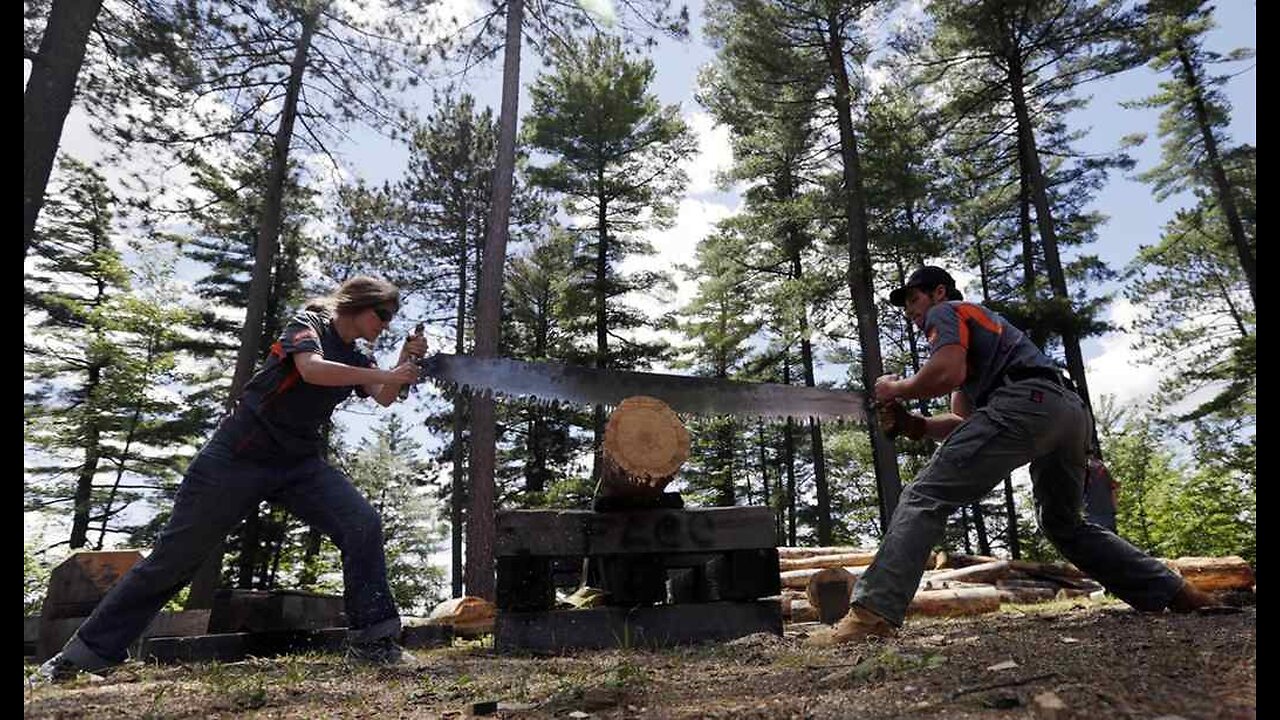 Whipsaw Risk The New Corporate Fright Scenario