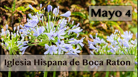 Servicio de Iglesia Hispana de Boca Raton 05/04/2025