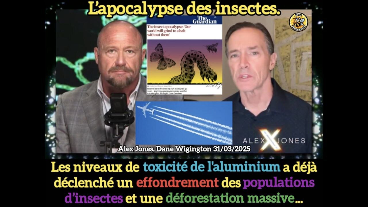 L’apocalypse des insectes.
