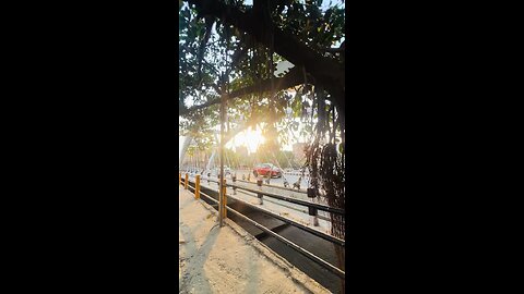 Hard Sun