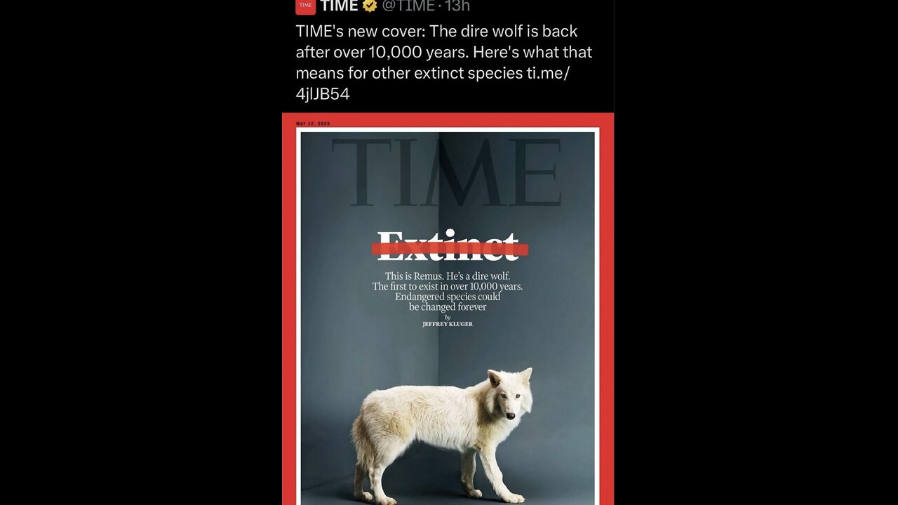 SCIENTIST CREATES EXTINCT🐺🦷🧬👨🔬🌡️🐺🩸🔬🐺🔬ANCIENT WOLF SPECIES THE DIRE WOLF🧬🐺💫