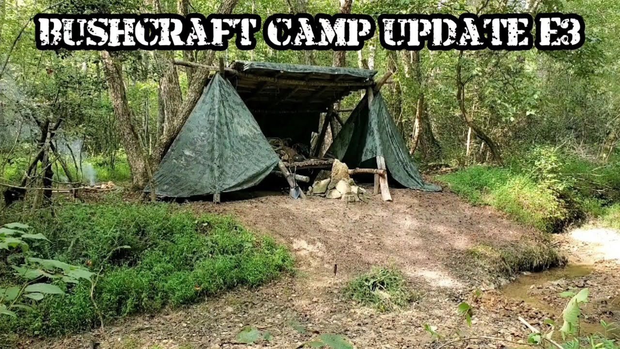 Bushcraft Camp Update - E3 Silent Nature - Damming the Creek/Pine Tar FAIL