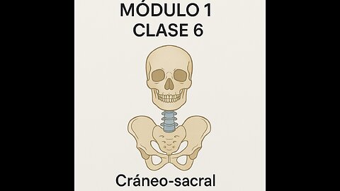 Cráneo-Sacral. Módulo 1. Clase 5 Y 6