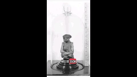La pequeña momia de Wyoming