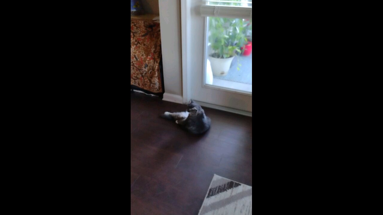 Smokey relaxing Buddha style