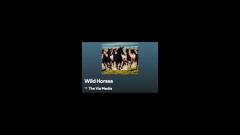 "Wild Horses" by: The Via Media