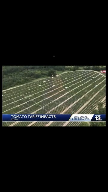 Tomato farmer, “It’s only been two days and Trump’s Mexico tariffs already having an effect.”