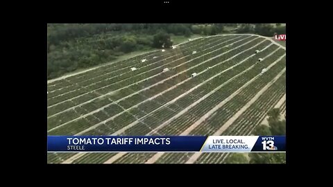 Tomato farmer, “It’s only been two days and Trump’s Mexico tariffs already having an effect.”