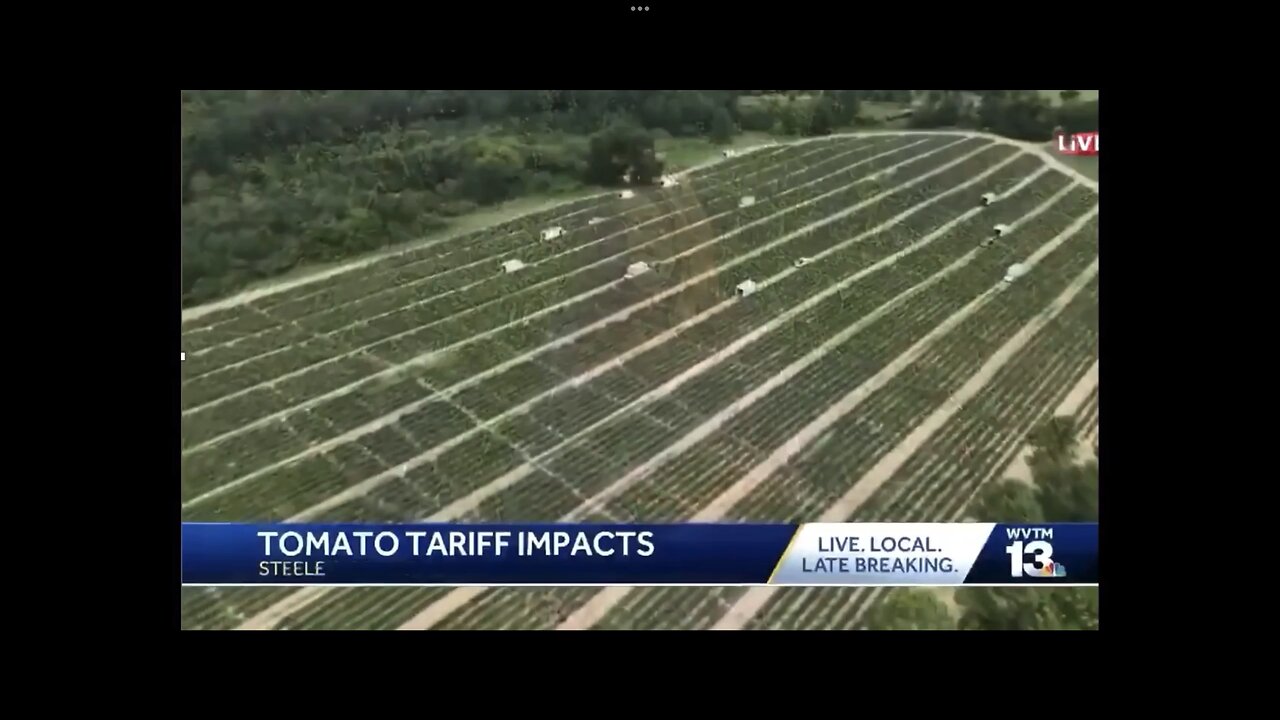 Tomato farmer, “It’s only been two days and Trump’s Mexico tariffs already having an effect.”