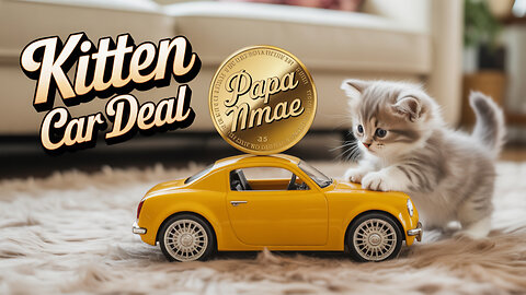 Papa cat buy a car with hold coin