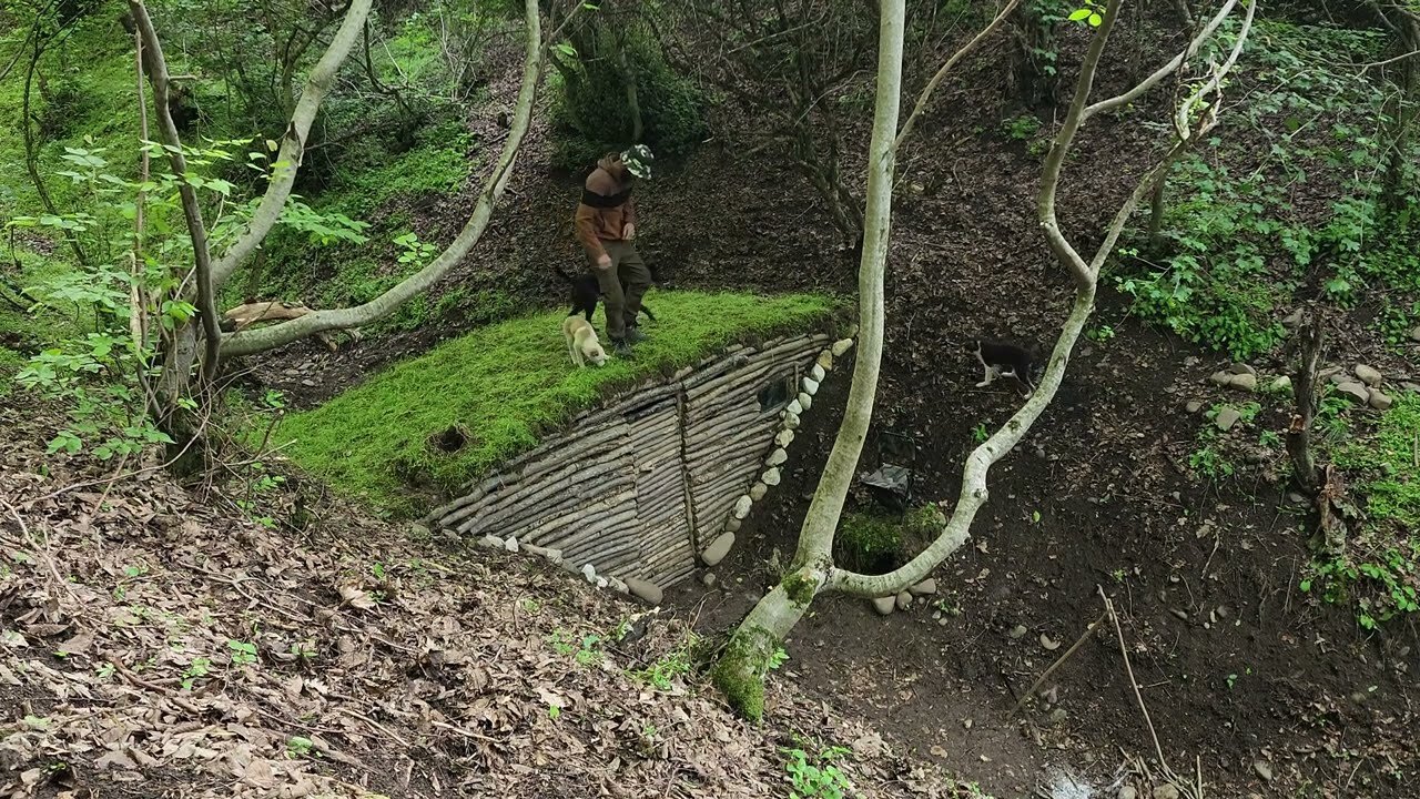 Ditching City Life for 4 Huts and Dogs Was the BEST Decision EVER! 🏕🐾