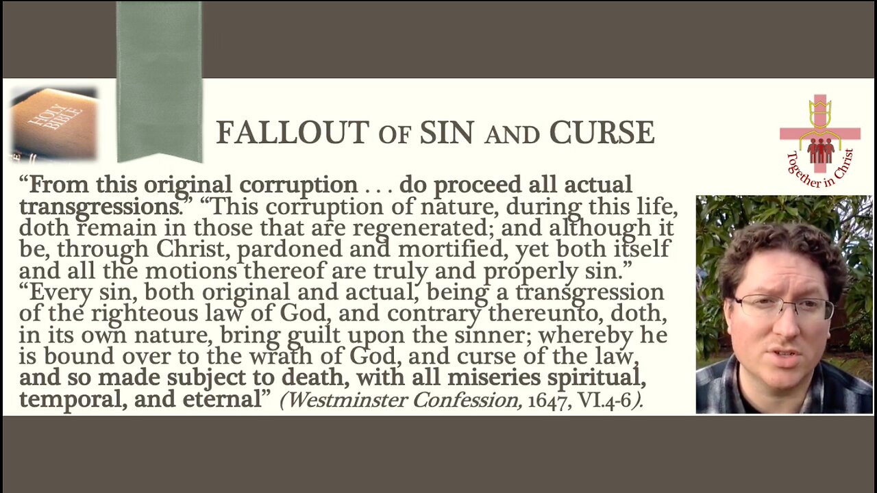 Sin, Curse, and Salvation