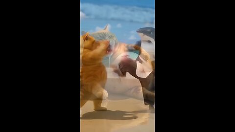 Orange cat fight with a shark. Ai cartoon orange fat cat funny video