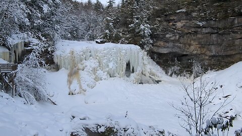 Blackwater Falls, WV. Feb 2026