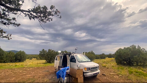 Pines, Wildlife, and Van Life: A Journey Beyond the Road