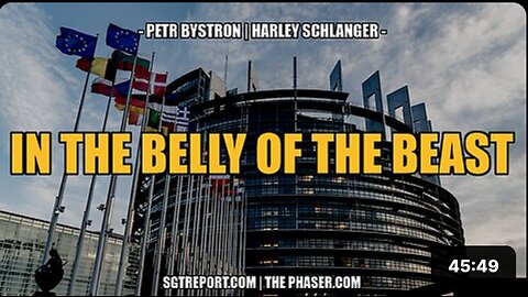 IN THE BELLY OF THE BEAST -- Petr Bystron & Harley Schlanger