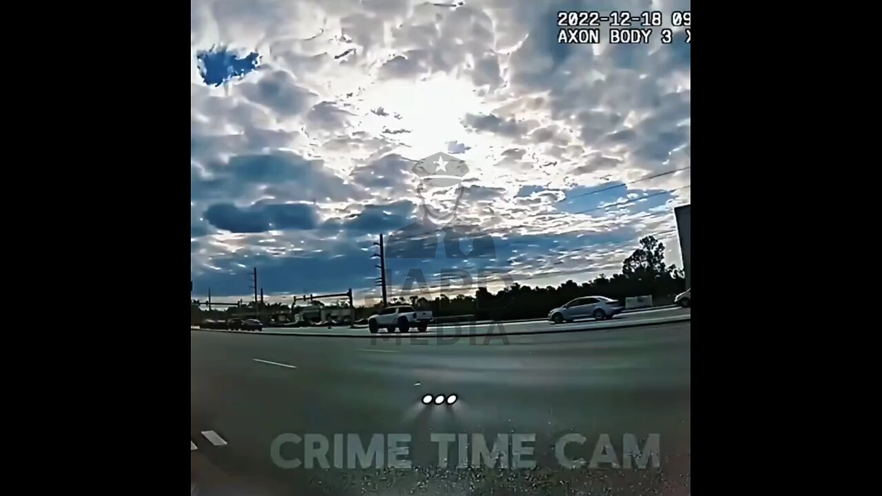 Sovereign Citizen Shut Down by Police During Traffic Stop #driverarrest #japd