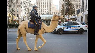 Wake N Bake! 11/6/25