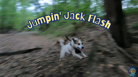 Jumpin' Jack Flash