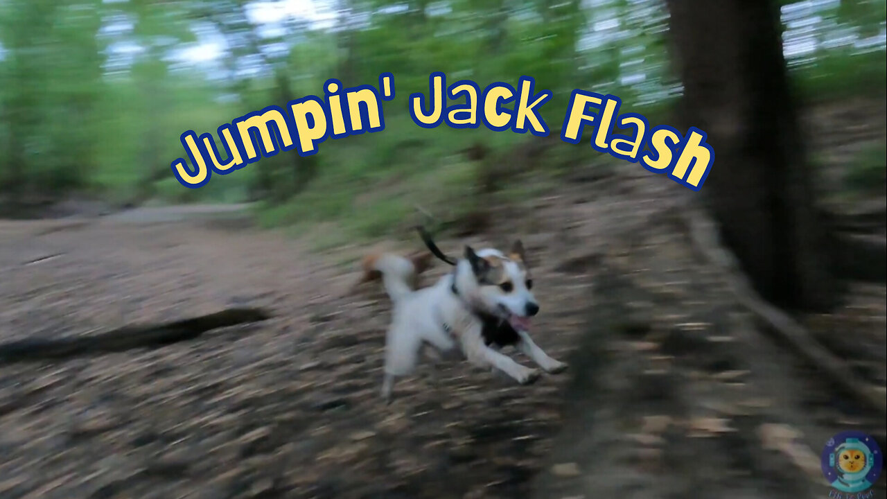 Jumpin' Jack Flash
