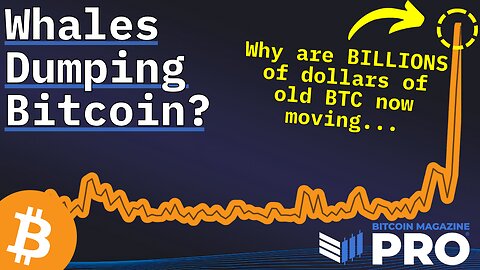 Are Bitcoin Whales Now Dumping Their BTC?