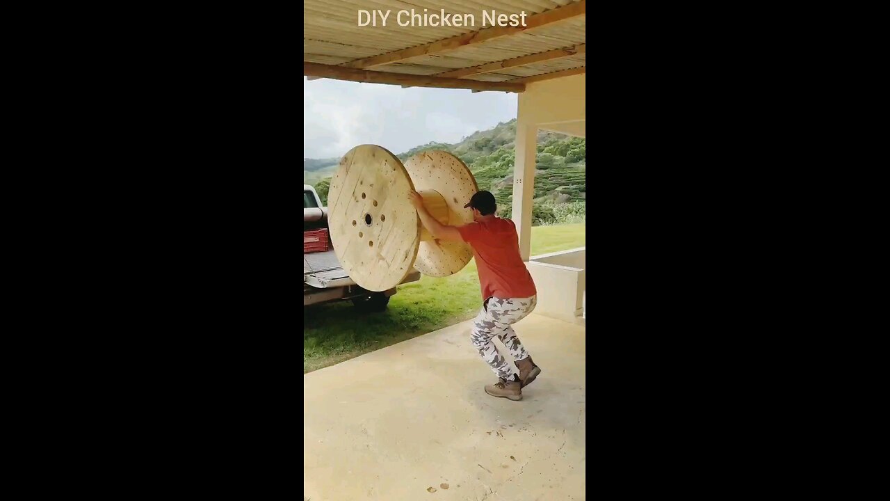 DIY Chicken Nest