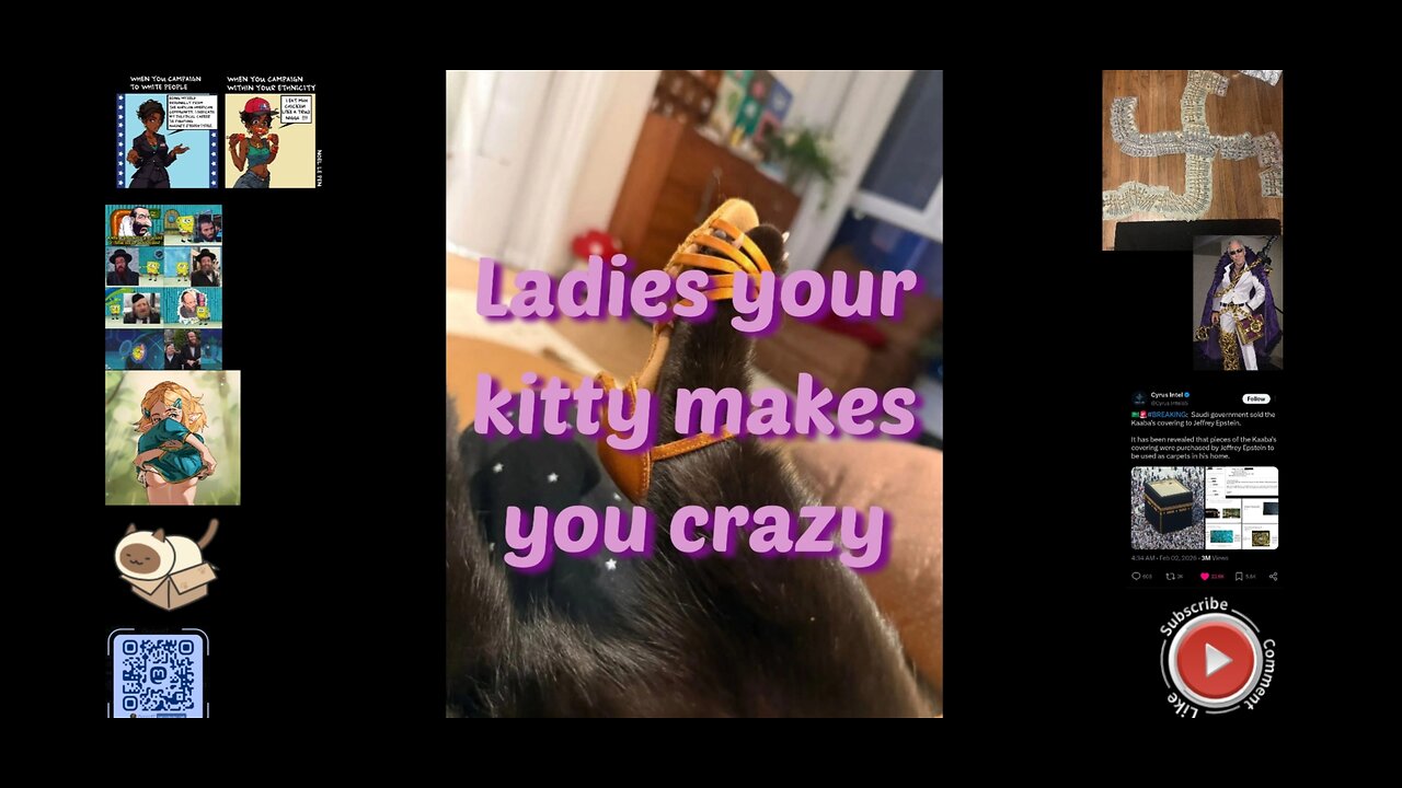 Ladies your kitty makes you crazy