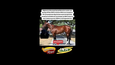 hipismo especial element la rinconada