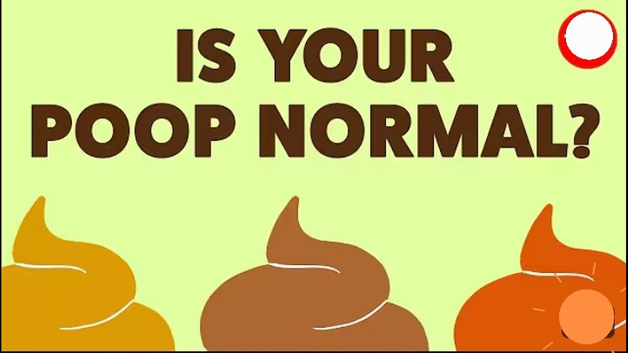 What your poop can tell you about your health - Hannibal Person